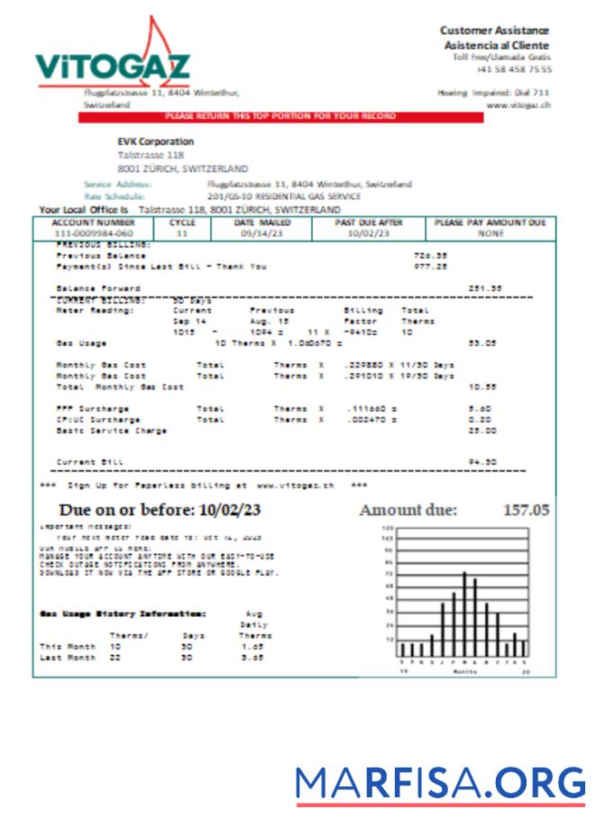 Downloadable Vitogaz Switzerland AG utility business bill SCR real example